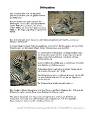 Grevy-Zebra-Steckbrief.pdf